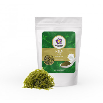 Kelp em pó  1Kg Biosamara