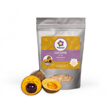 Lucuma em pó  1Kg Biosamara