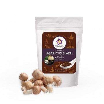 Cogumelo Agaricus Blazei em...