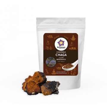 Cogumelo Chaga em pó  1Kg...