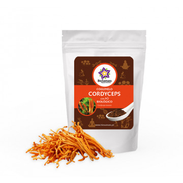 Cogumelo Cordyceps em pó...