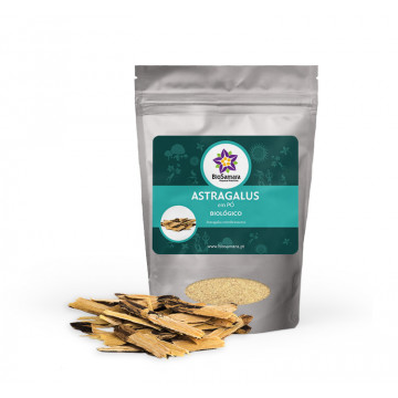 Astragalus em pó  1Kg...