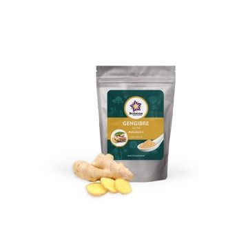 Gengibre em pó  1Kg Biosamara