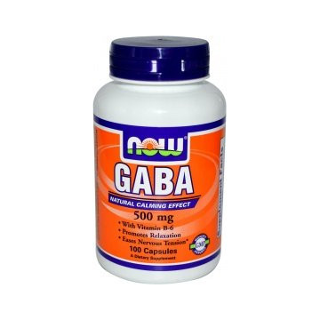 NOW Foods GABA 500mg 100...