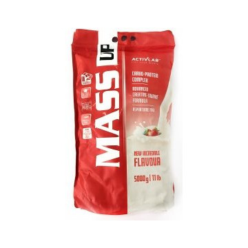 Activlab MASS UP 5000g