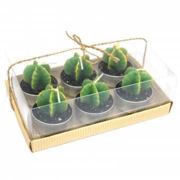 set de 6 Monks Cactus velas...