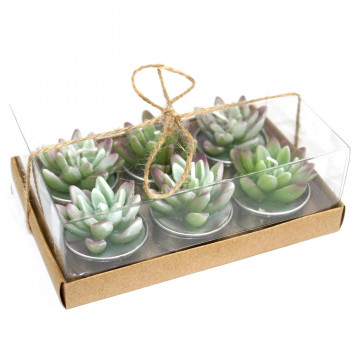 set de 6 velas Cactus Agave...