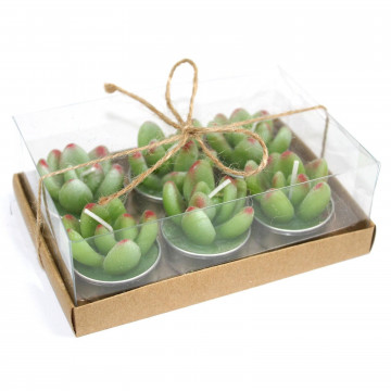 set de 6 velas de Cactus...