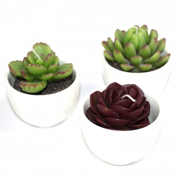Velas de cactus Big Pot em...