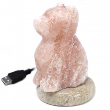 USB Candeeiro de Sal Cão...