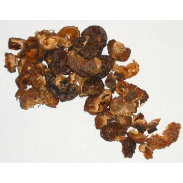 Nozes de saponária (1kg)