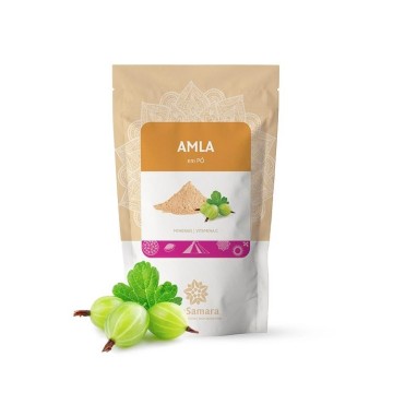 Amla em pó BIO Biosamara