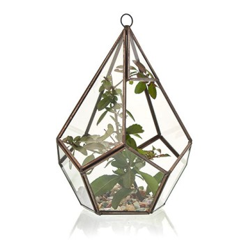 Terrário de Vidro - Grande...