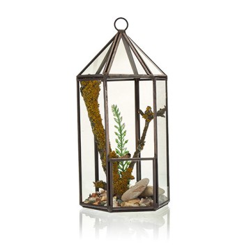 Terrário de Vidro - Lanterna
