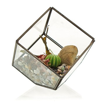Terrário de Vidro - Cubo de...