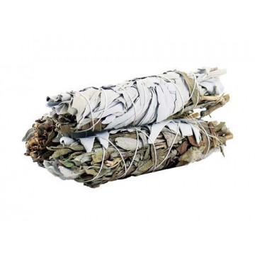 Salvia branco e Salvia...