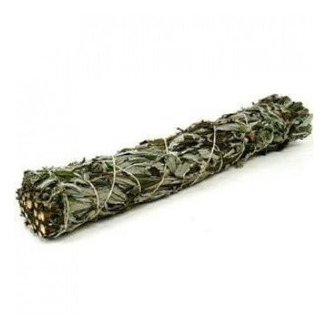 Salvia preto 15cm