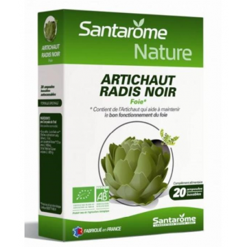 ARTICHAUT RADIS NOIR - 20 AMP