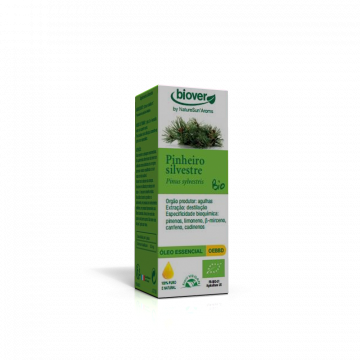 O.E Pinheiro Silvestre /...