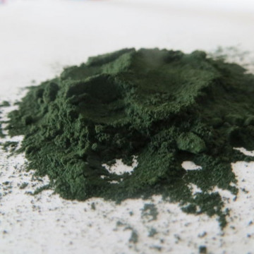 Espirulina em pó biológica...