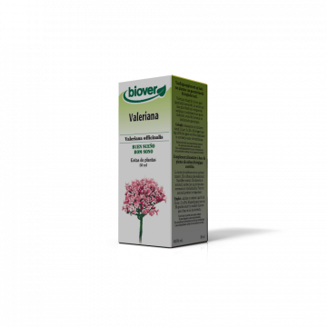 Valeriana-Valerian...
