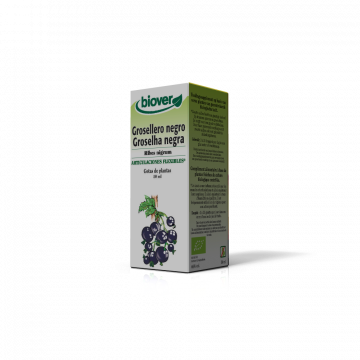 goselha-Ribes nigum BIO