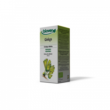 Ginkgo Biloba - Ginkgo...
