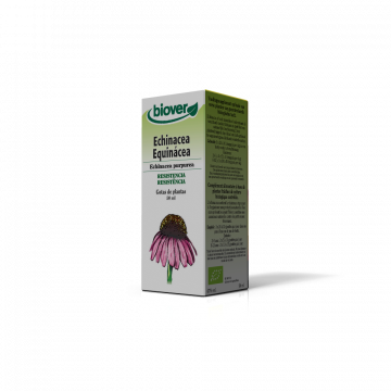 Equinácia-Echinacea...