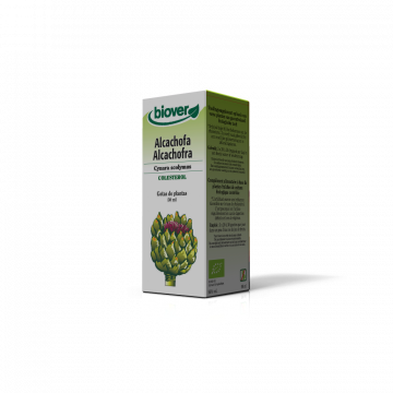 Alcachofra-Cynara scolymus BIO