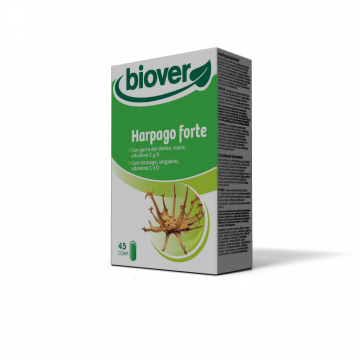 Harpago forte ALL DAY