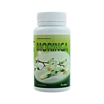 MORINGA- ACÁCIA BRANCA