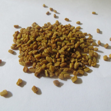 Feno-grego em pó 1 Kg
