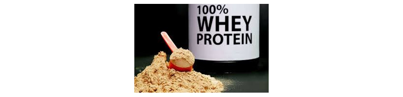 PROTEÍNA WHEY