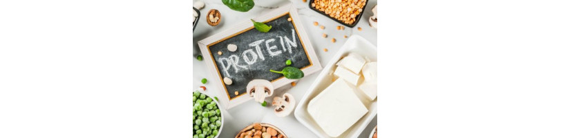 PROTEÍNA VEGETARIANA