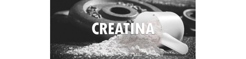CREATINA