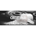 CREATINA