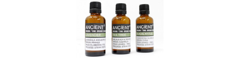 Óleos Essenciais 50 ml