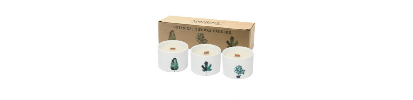 Velas de soja de pavio de madeira botânica