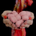 Minibombas de Banho