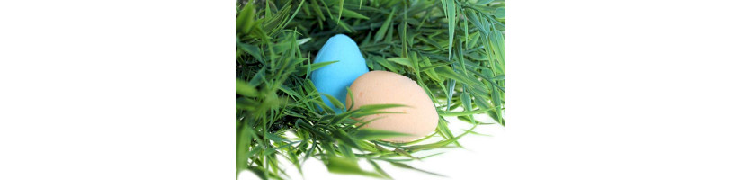 Ovos de banho