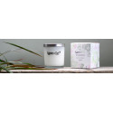 Velas com Cera de Soja - Frascos de Vidro (200ml)