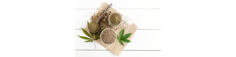 PROTEÍNA DE CÂNHAMO