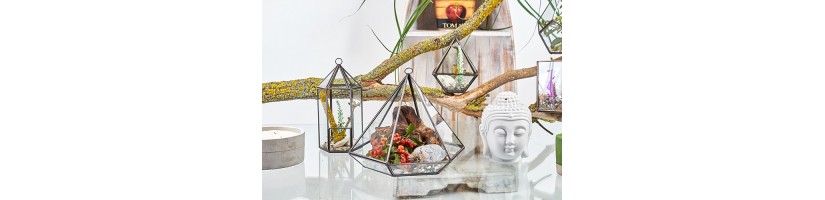 Decoração